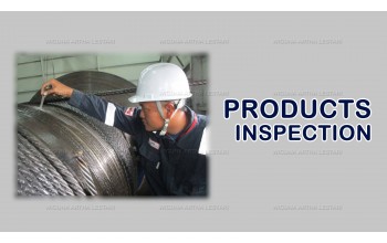 PRODUCTS INSPECTION
