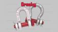 SHACKLE BOLT TYPE G-2130 | G-2150